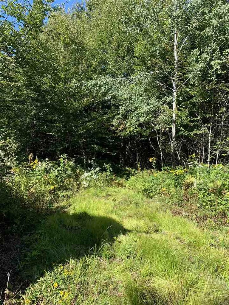 1817 Hopkins Hill Road Hardwick VT 05843