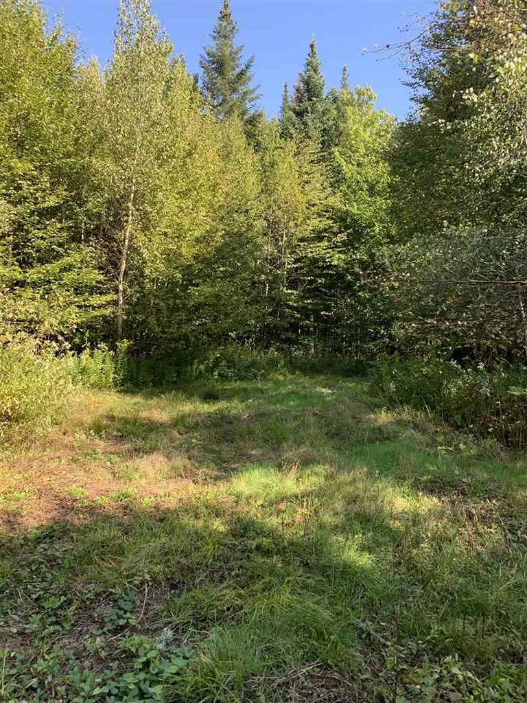 1817 Hopkins Hill Road Hardwick VT 05843