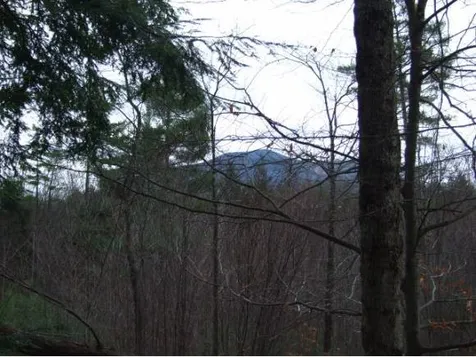 00 Senna Road Cavendish VT 05142