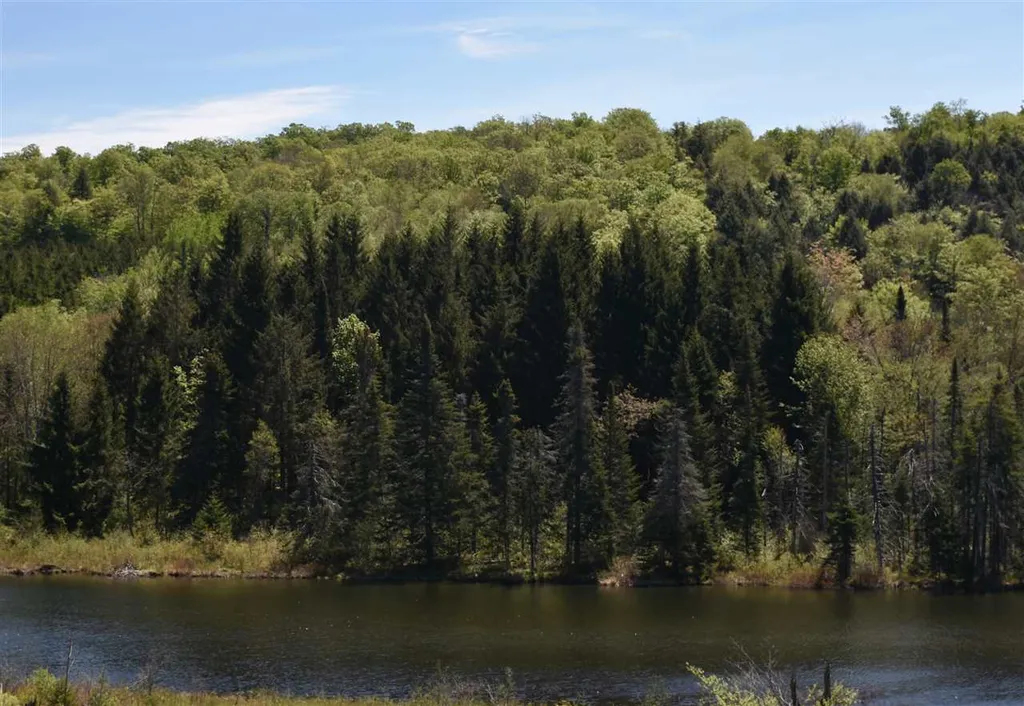 3016 Rood Pond Road Williamstown VT 05679