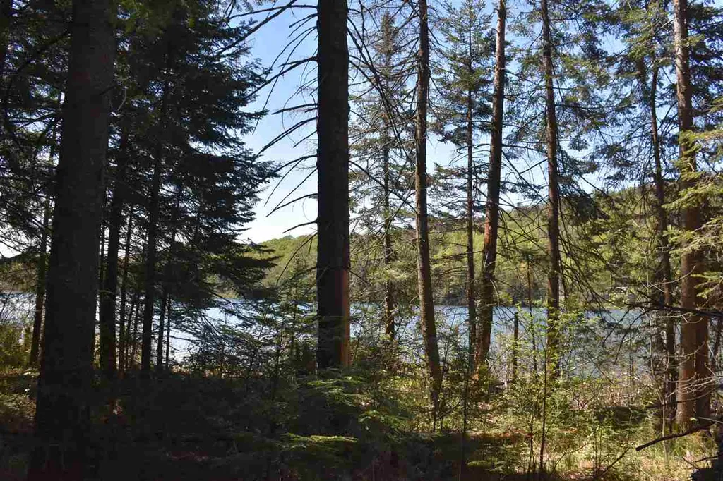 3016 Rood Pond Road Williamstown VT 05679