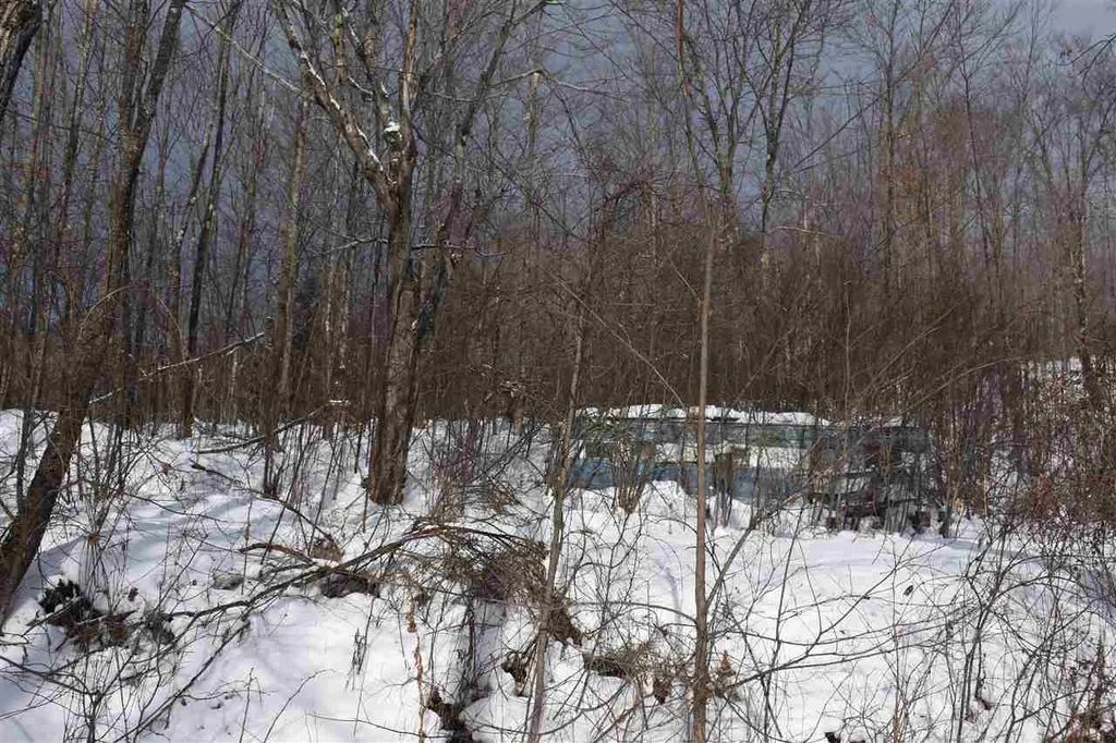 3016 Rood Pond Road Williamstown VT 05679