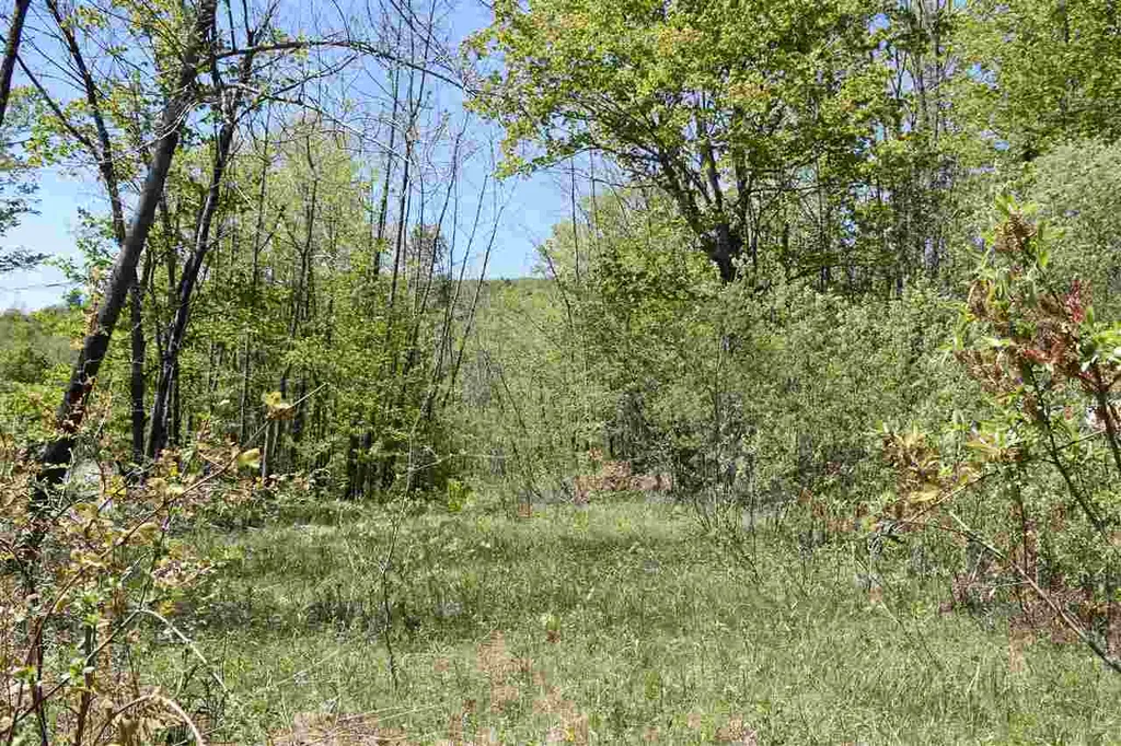 3016 Rood Pond Road Williamstown VT 05679