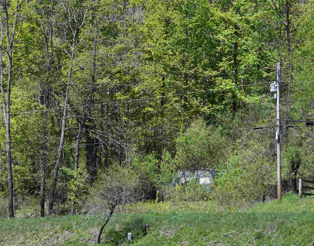 3016 Rood Pond Road Williamstown VT 05679