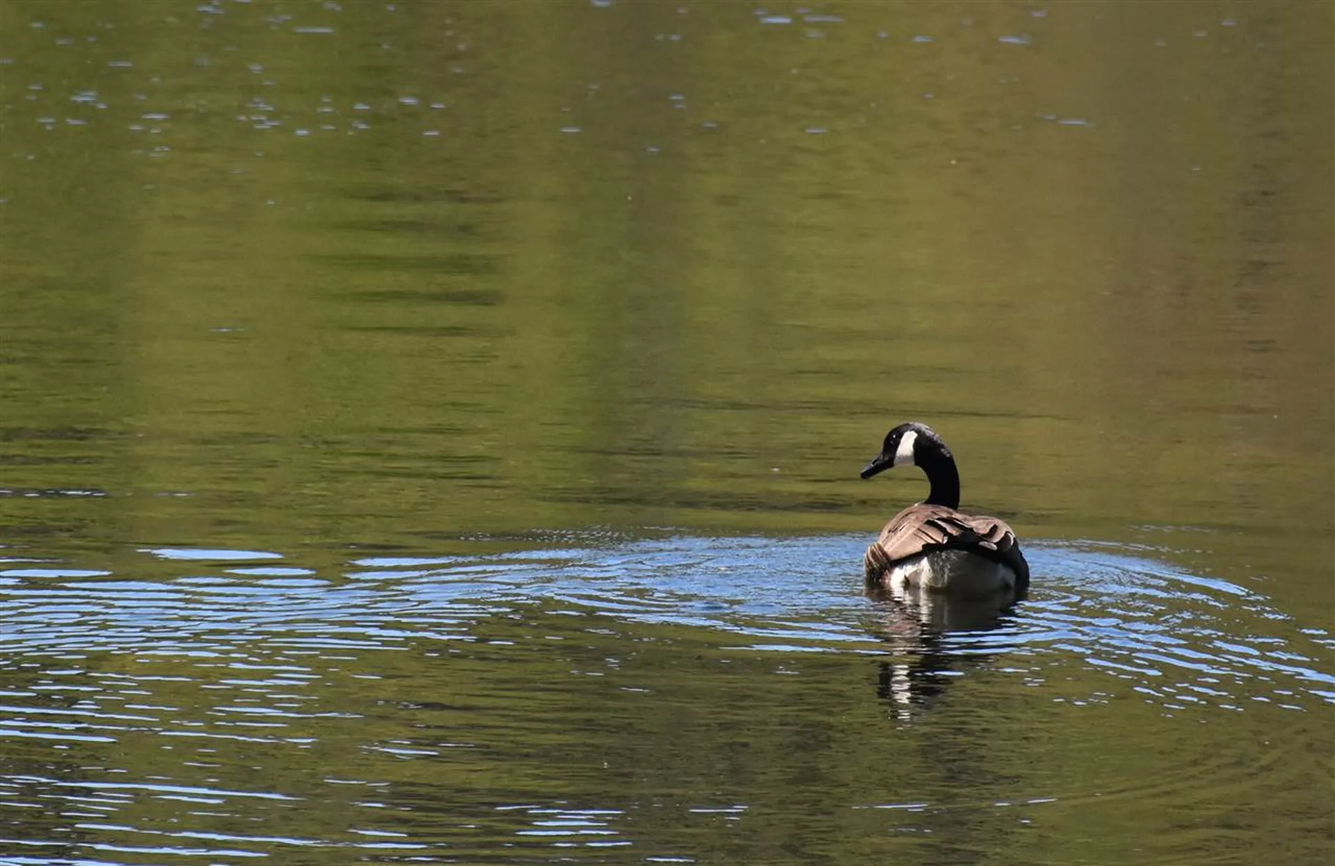 3016 Rood Pond Road Williamstown VT 05679