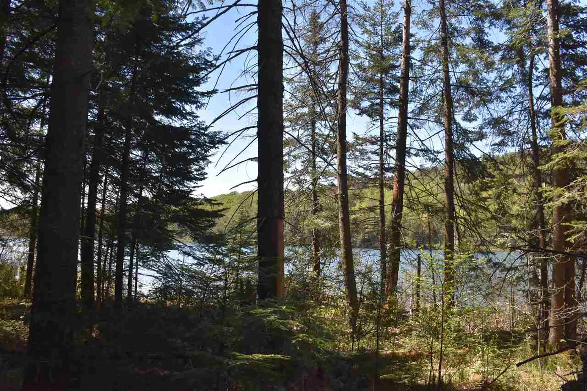 3016 Rood Pond Road Williamstown VT 05679