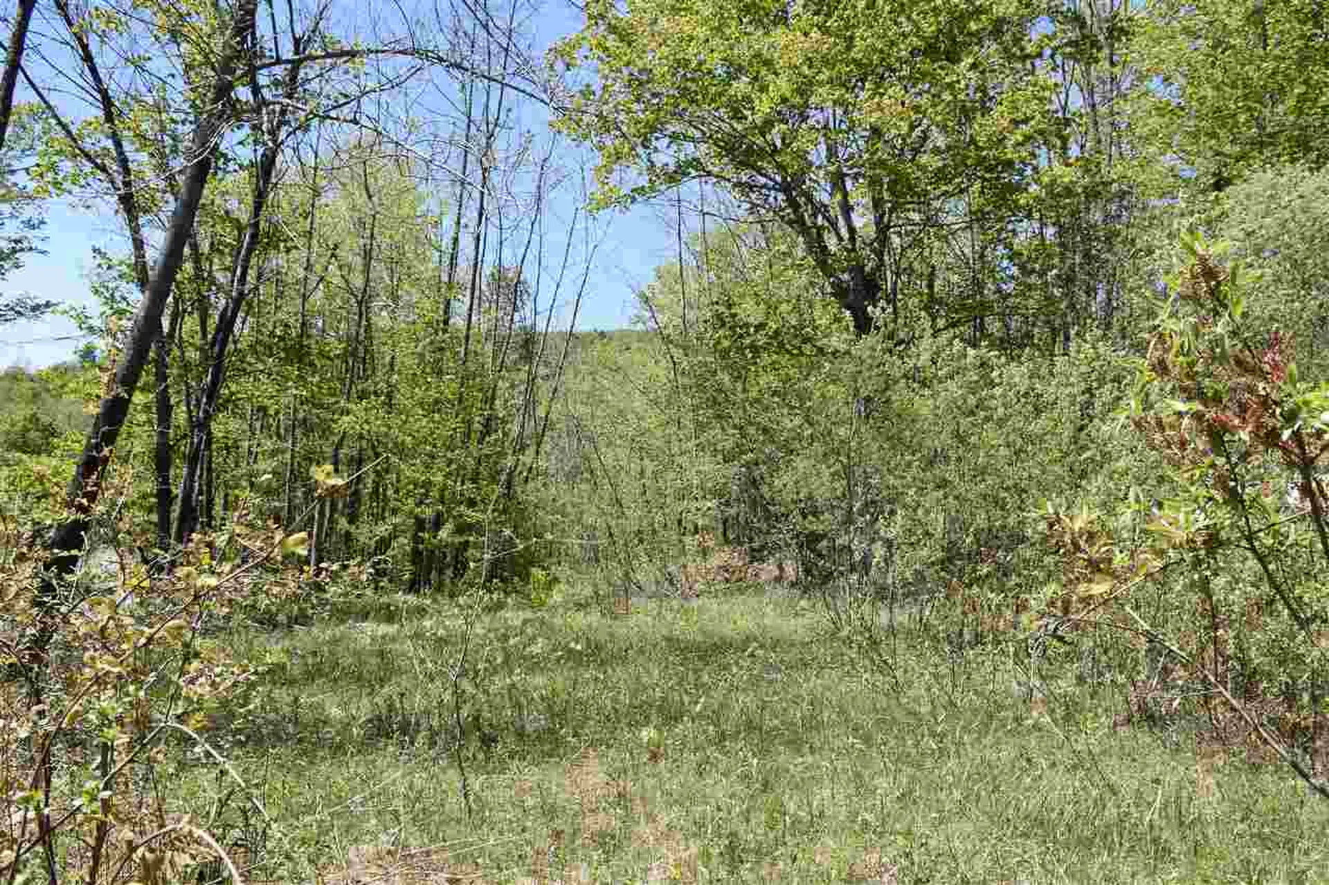 3016 Rood Pond Road Williamstown VT 05679