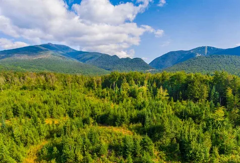 12.2 Notchway Circle Franconia NH 03580