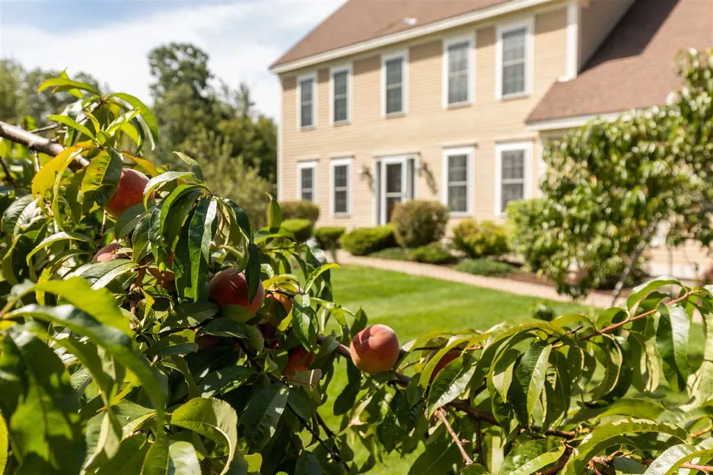 14 Easton Hill Lane Stratham NH 03885