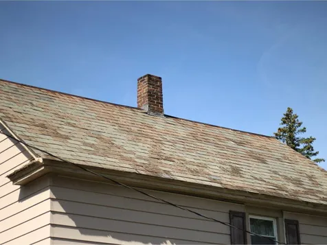6 Catherine Street Burlington VT 05401