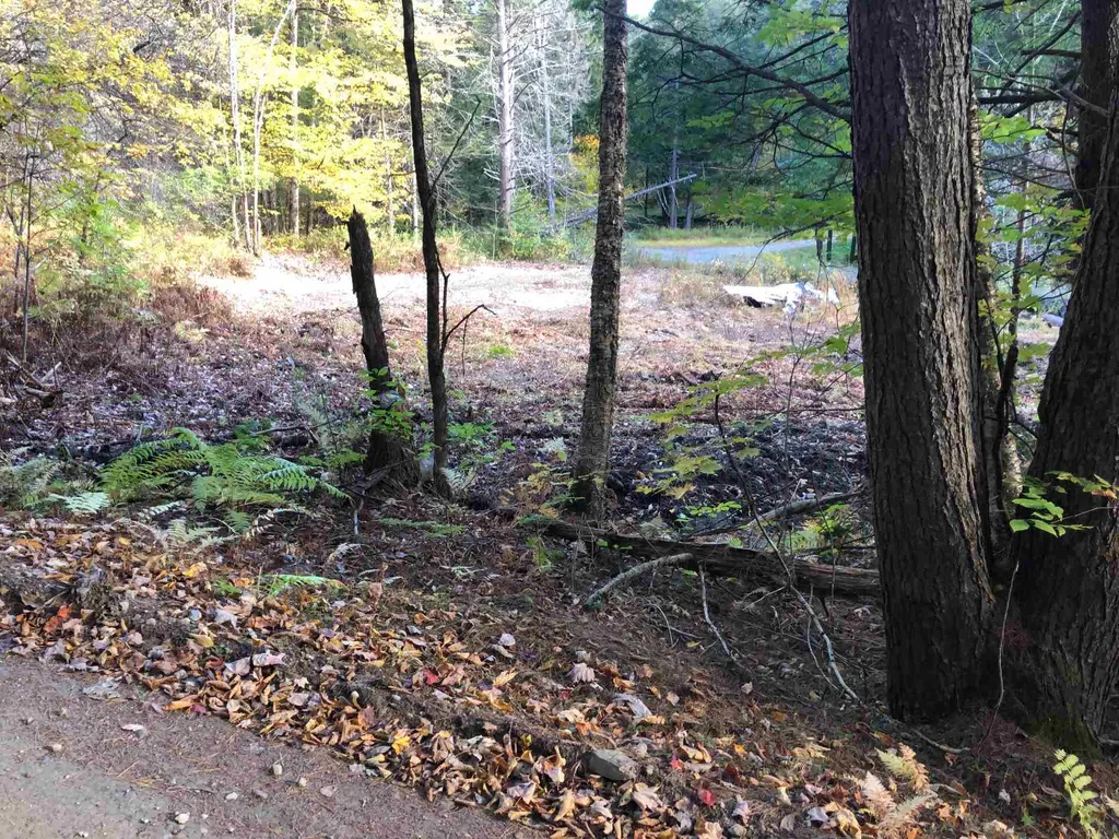 0 Goodrich Road Chester VT 05143