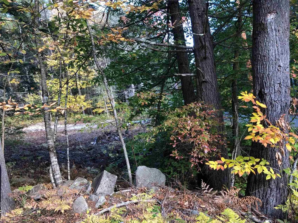 0 Goodrich Road Chester VT 05143
