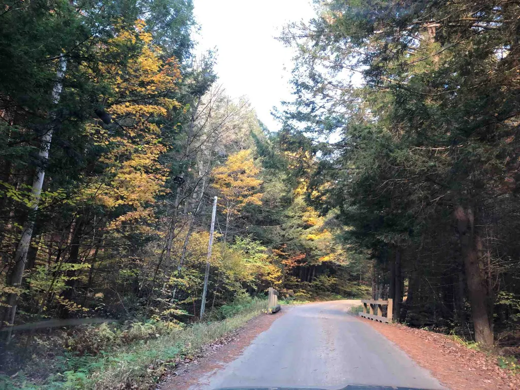 0 Goodrich Road Chester VT 05143