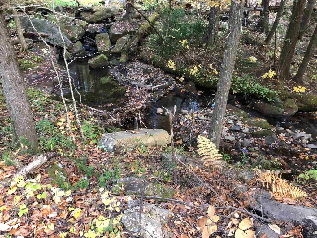 0 Goodrich Road Chester VT 05143