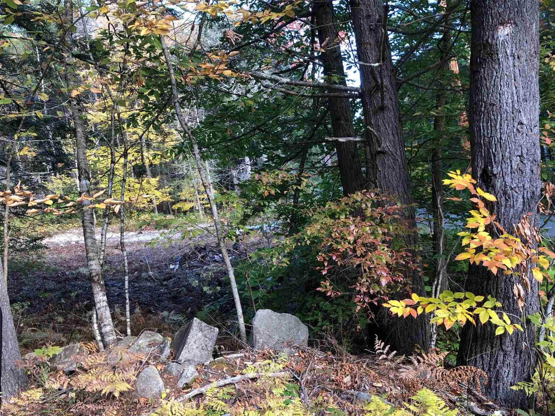0 Goodrich Road Chester VT 05143