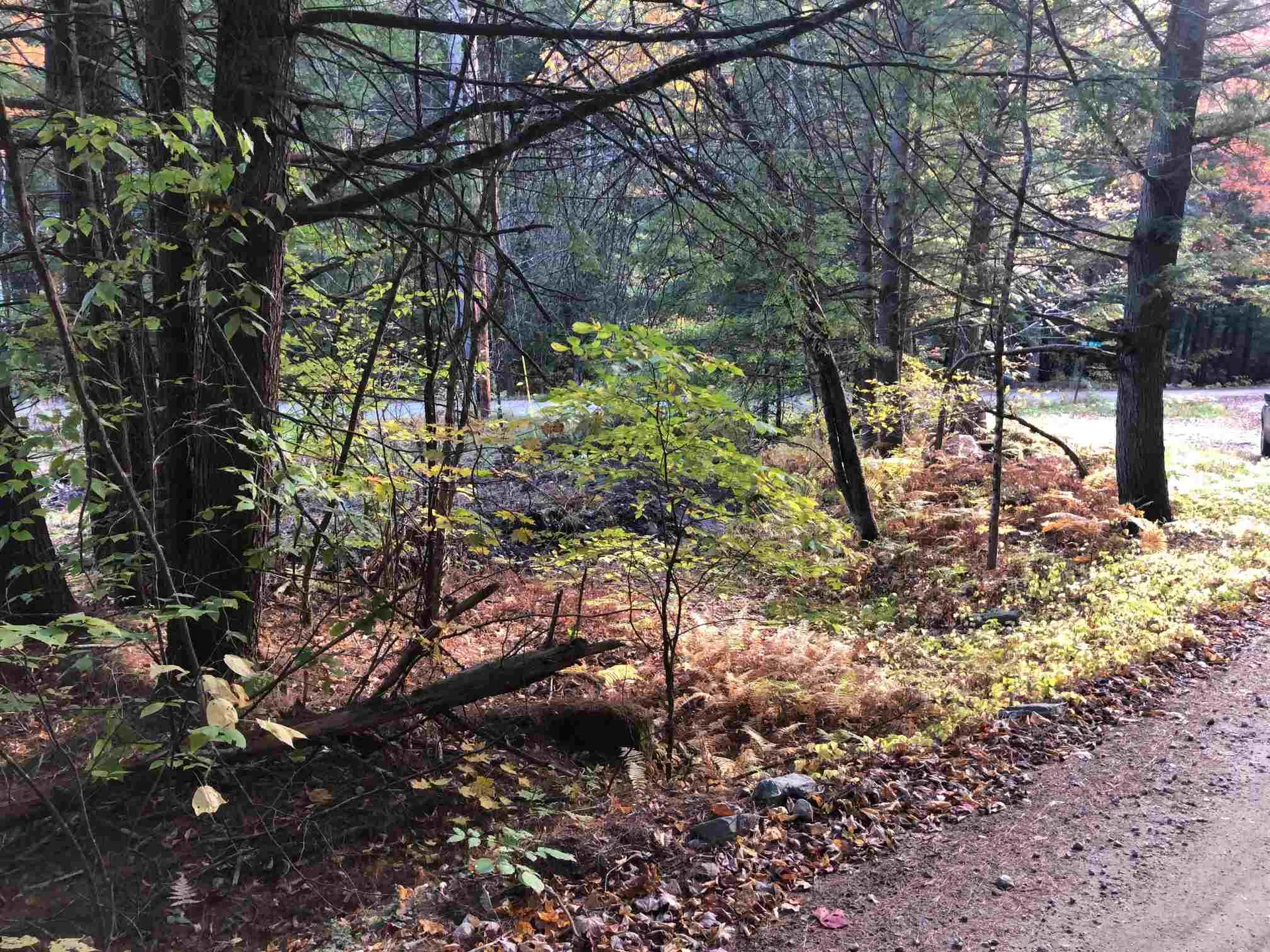 0 Goodrich Road Chester VT 05143