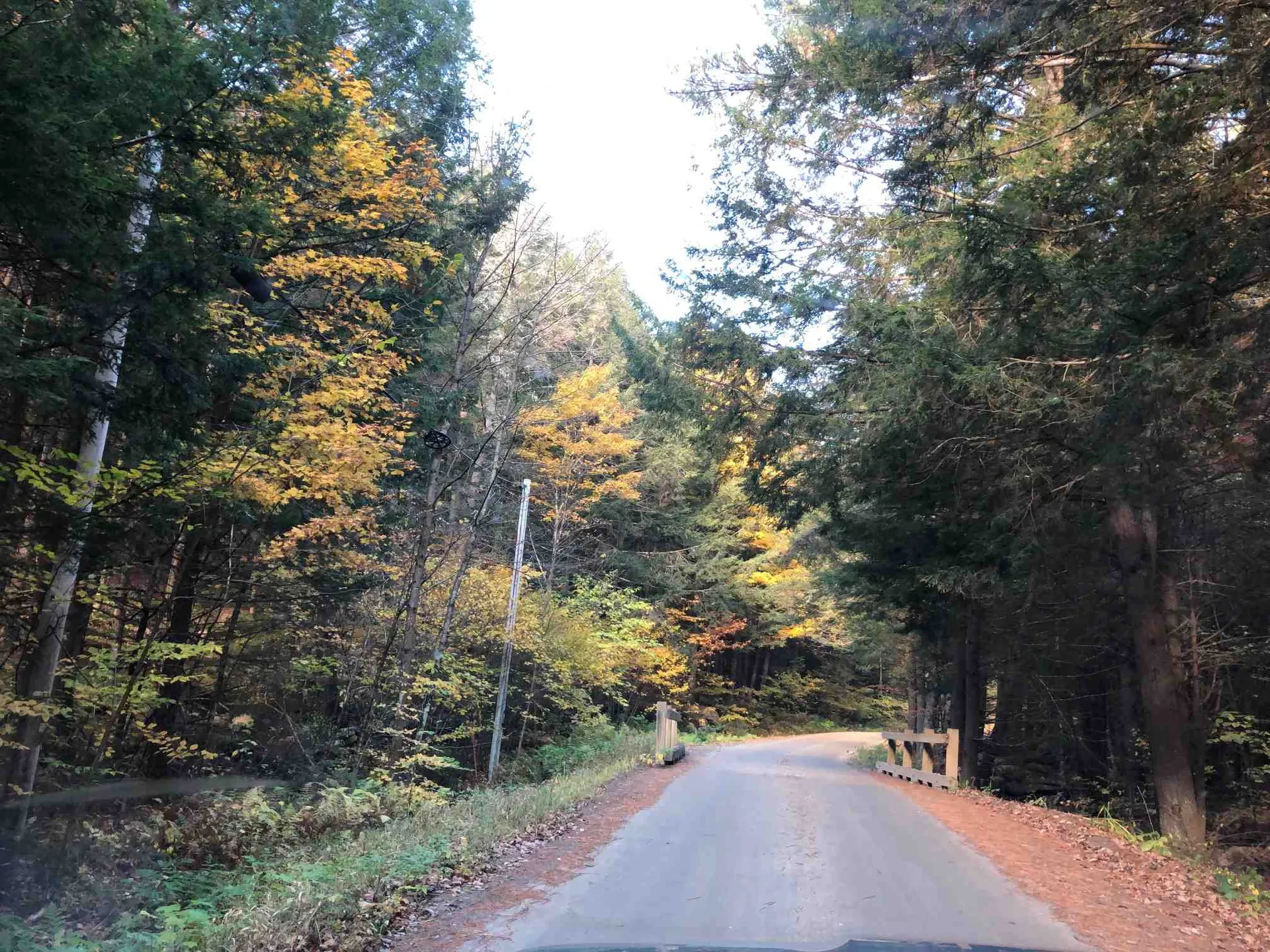 0 Goodrich Road Chester VT 05143