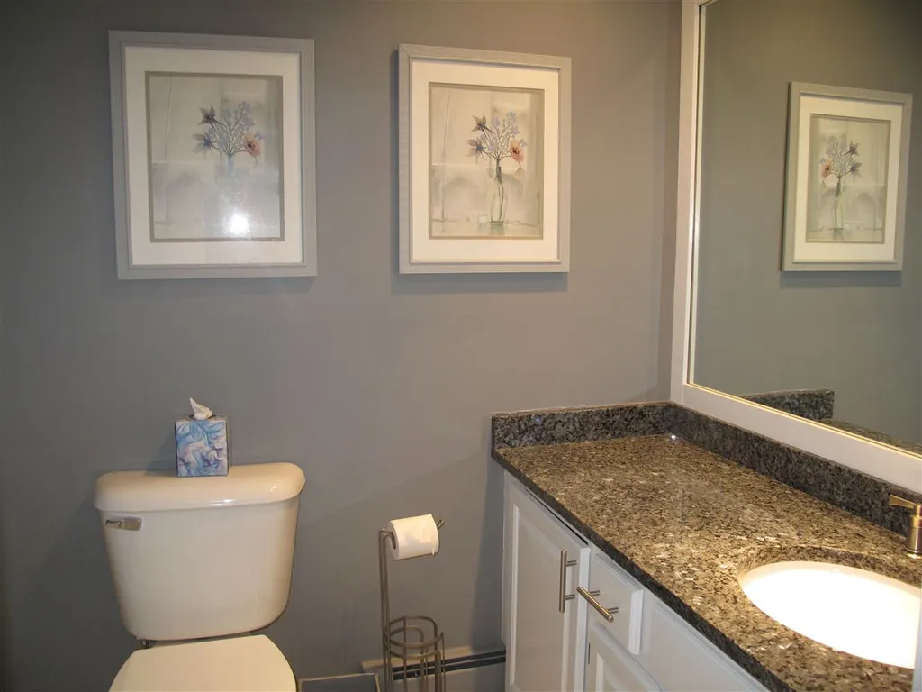 53 Amber Way Conway NH 03813-4336