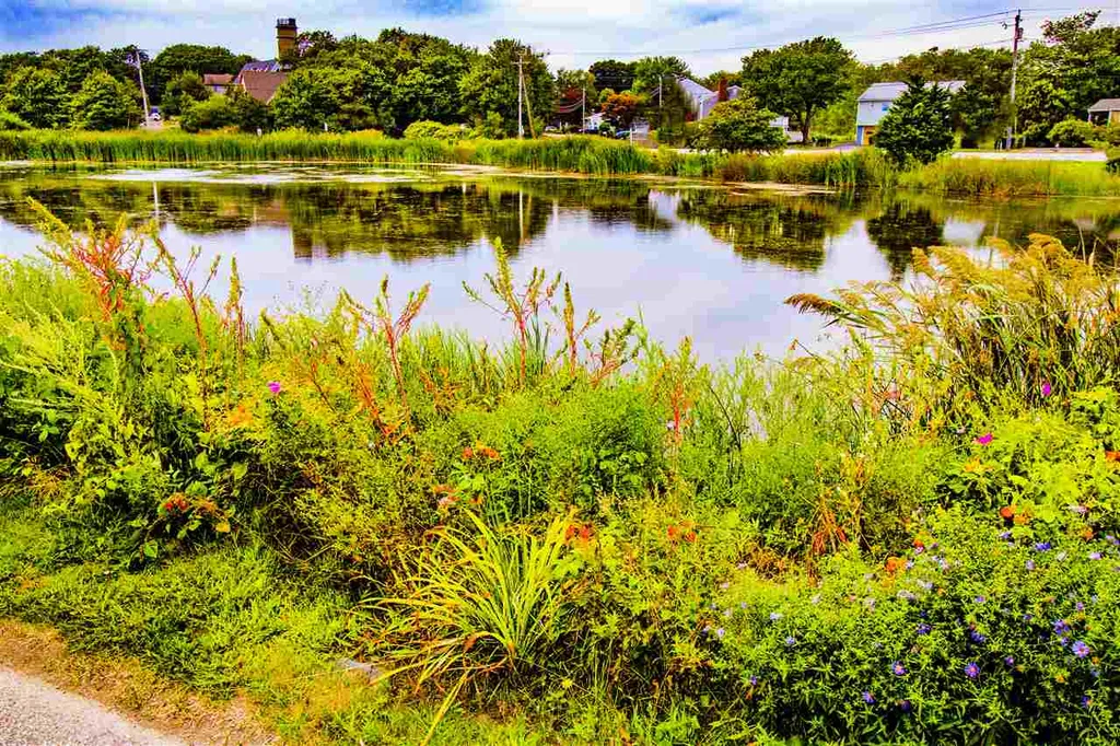 784 Ocean Boulevard Rye NH 03870