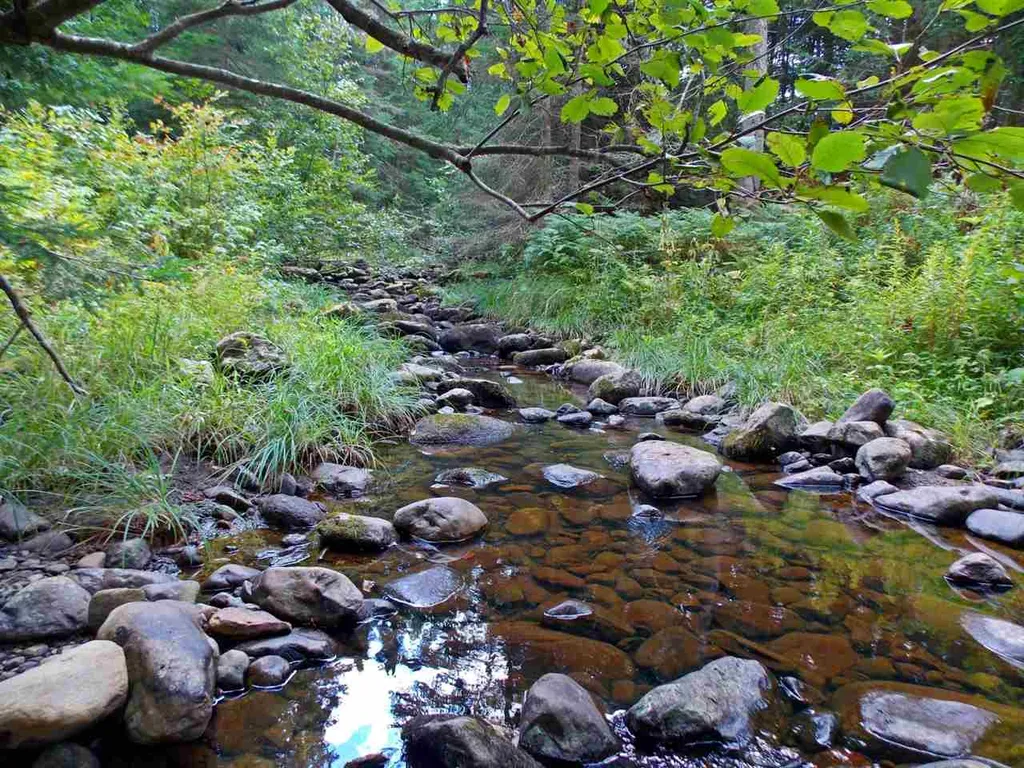 - Vt Route 100 Newport Town VT 05857