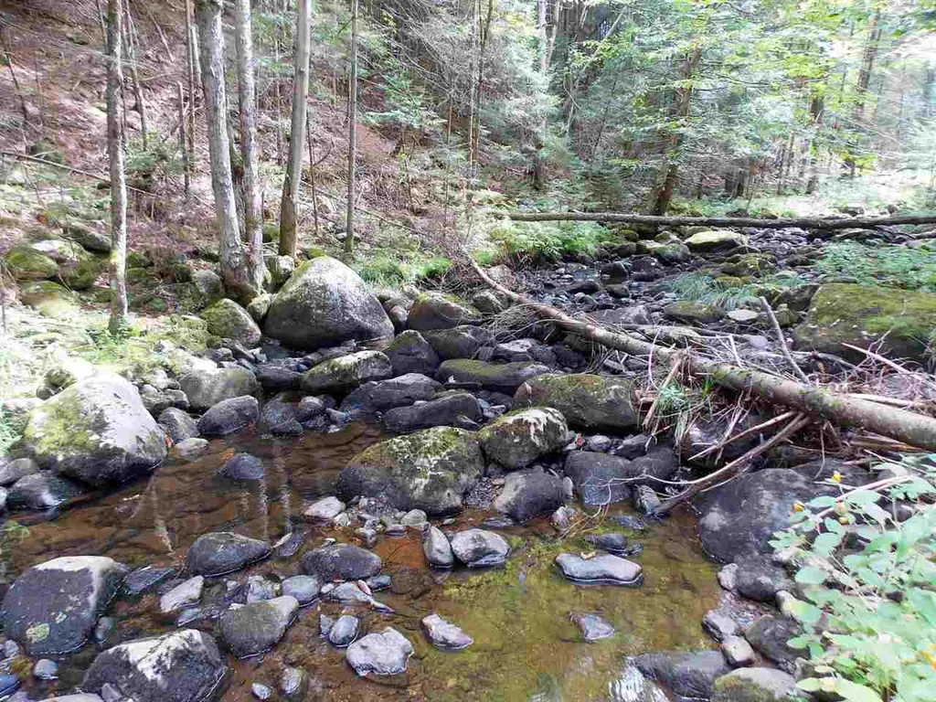- Vt Route 100 Newport Town VT 05857