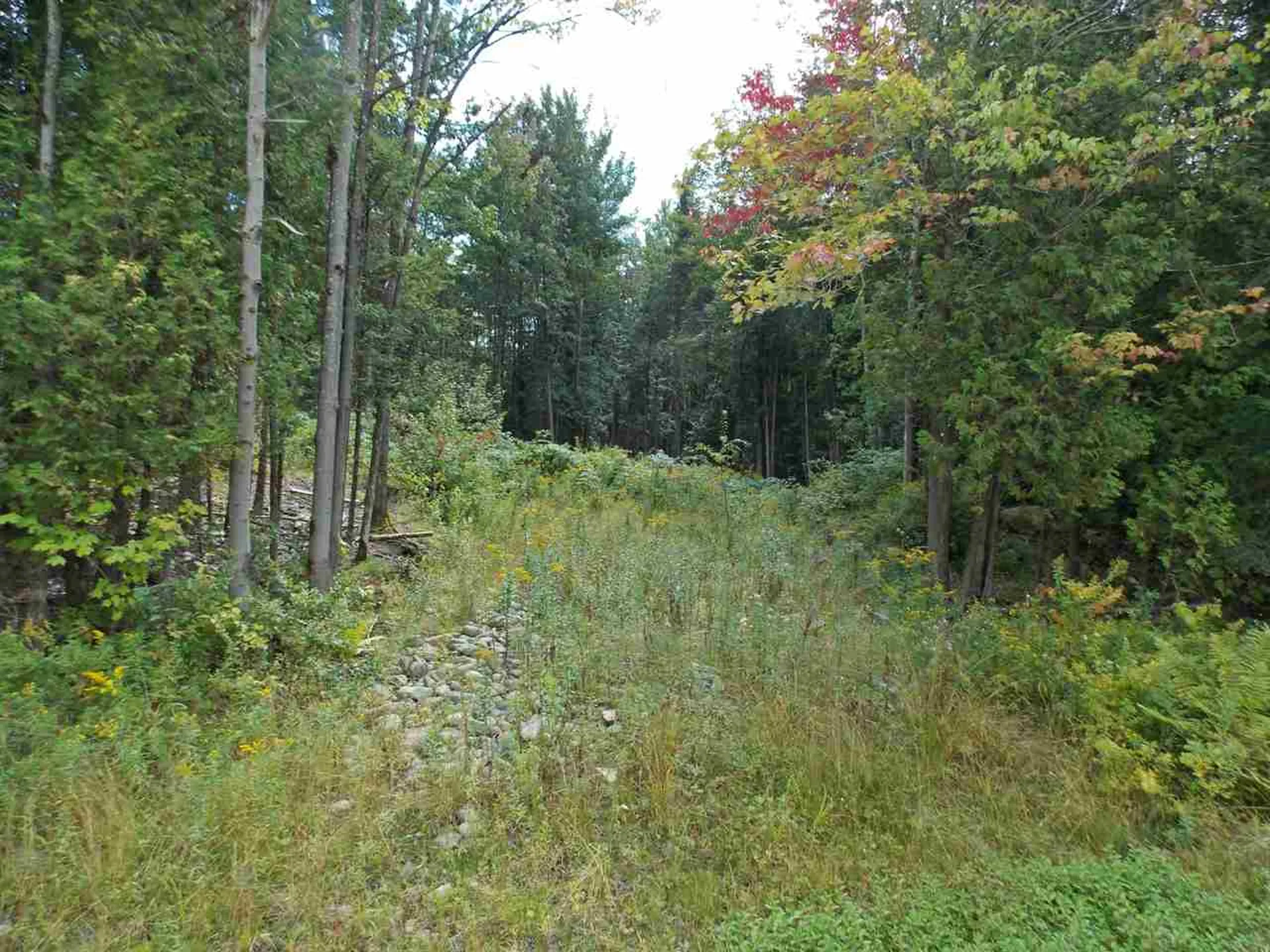 - Vt Route 100 Newport Town VT 05857