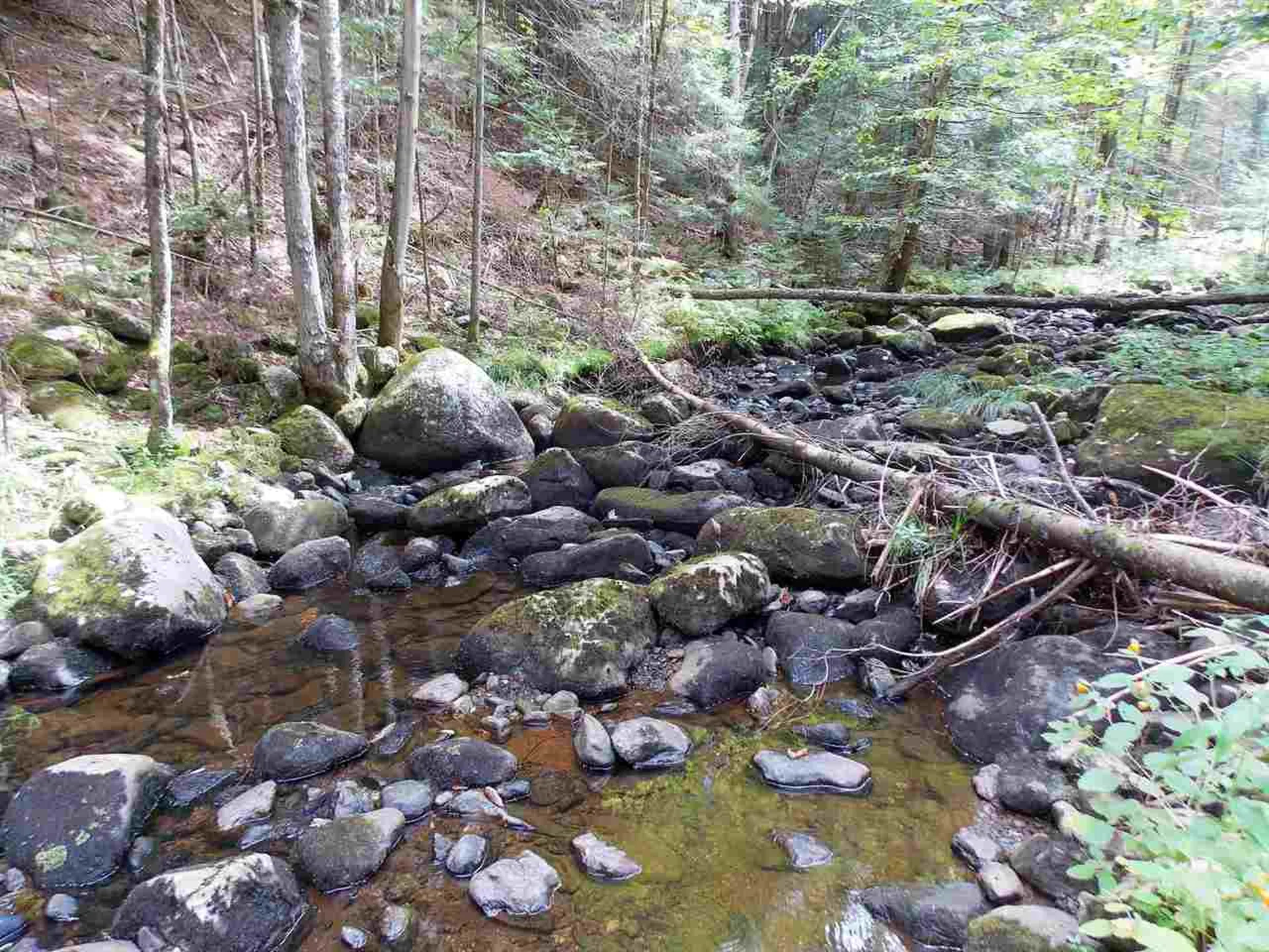 - Vt Route 100 Newport Town VT 05857