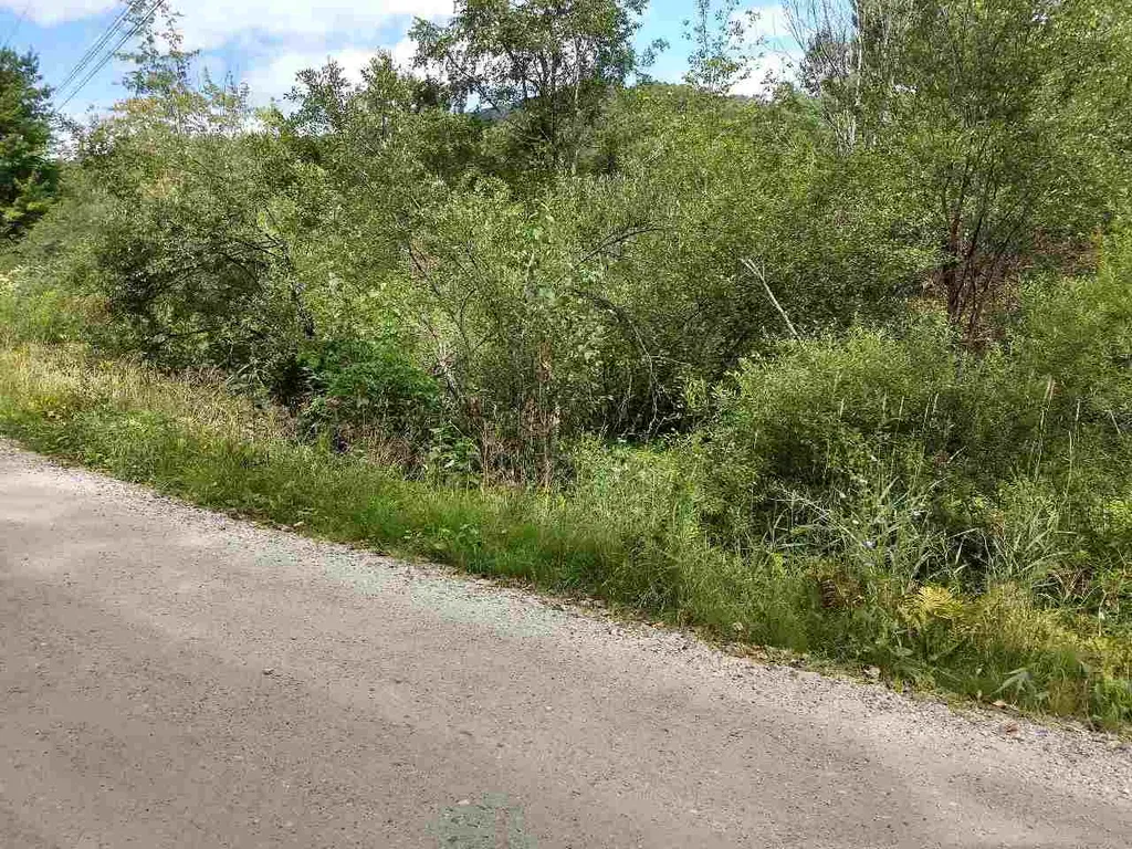650 Lower Michigan Road Pittsfield VT 05762