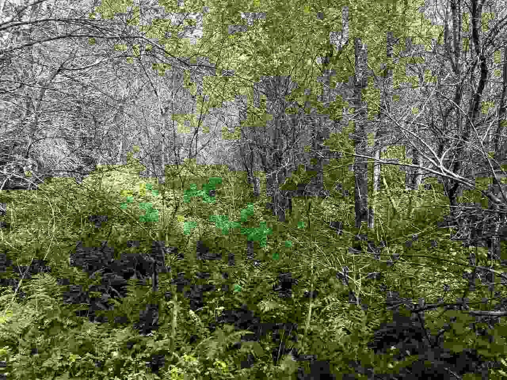 650 Lower Michigan Road Pittsfield VT 05762