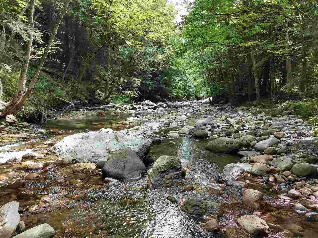 650 Lower Michigan Road Pittsfield VT 05762