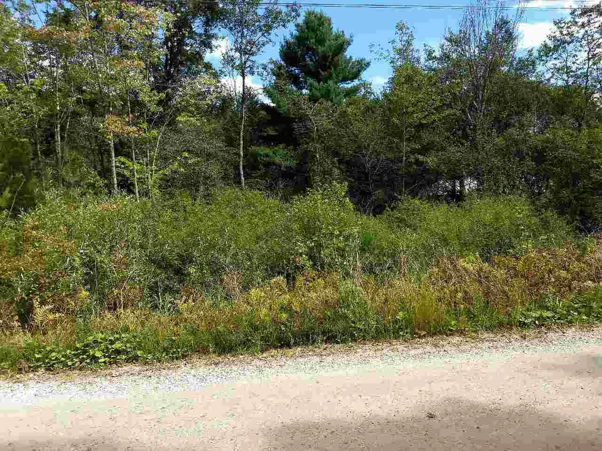 650 Lower Michigan Road Pittsfield VT 05762