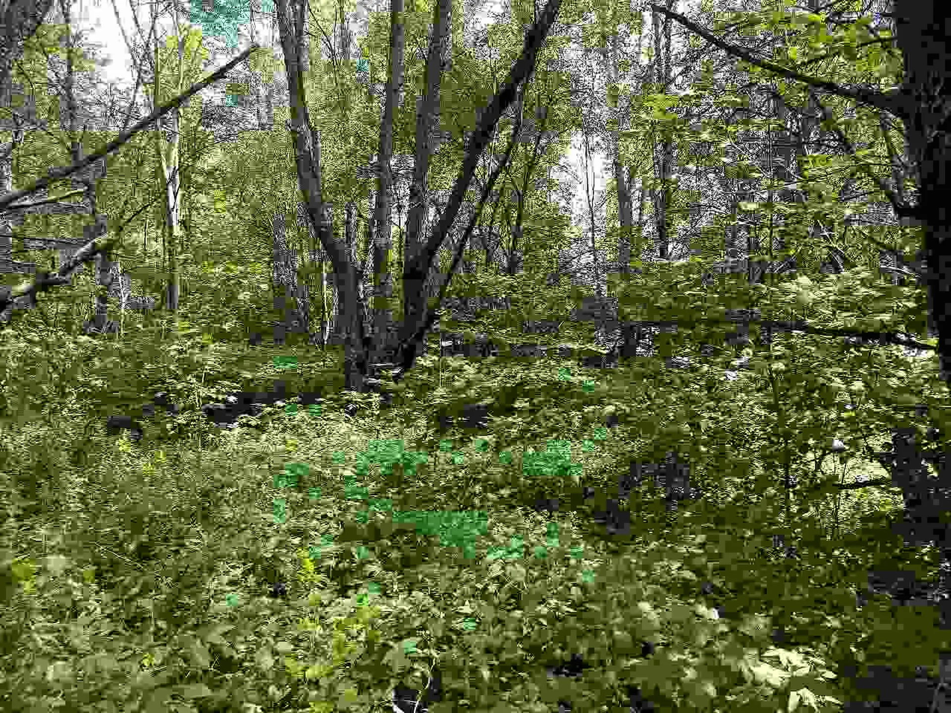 650 Lower Michigan Road Pittsfield VT 05762