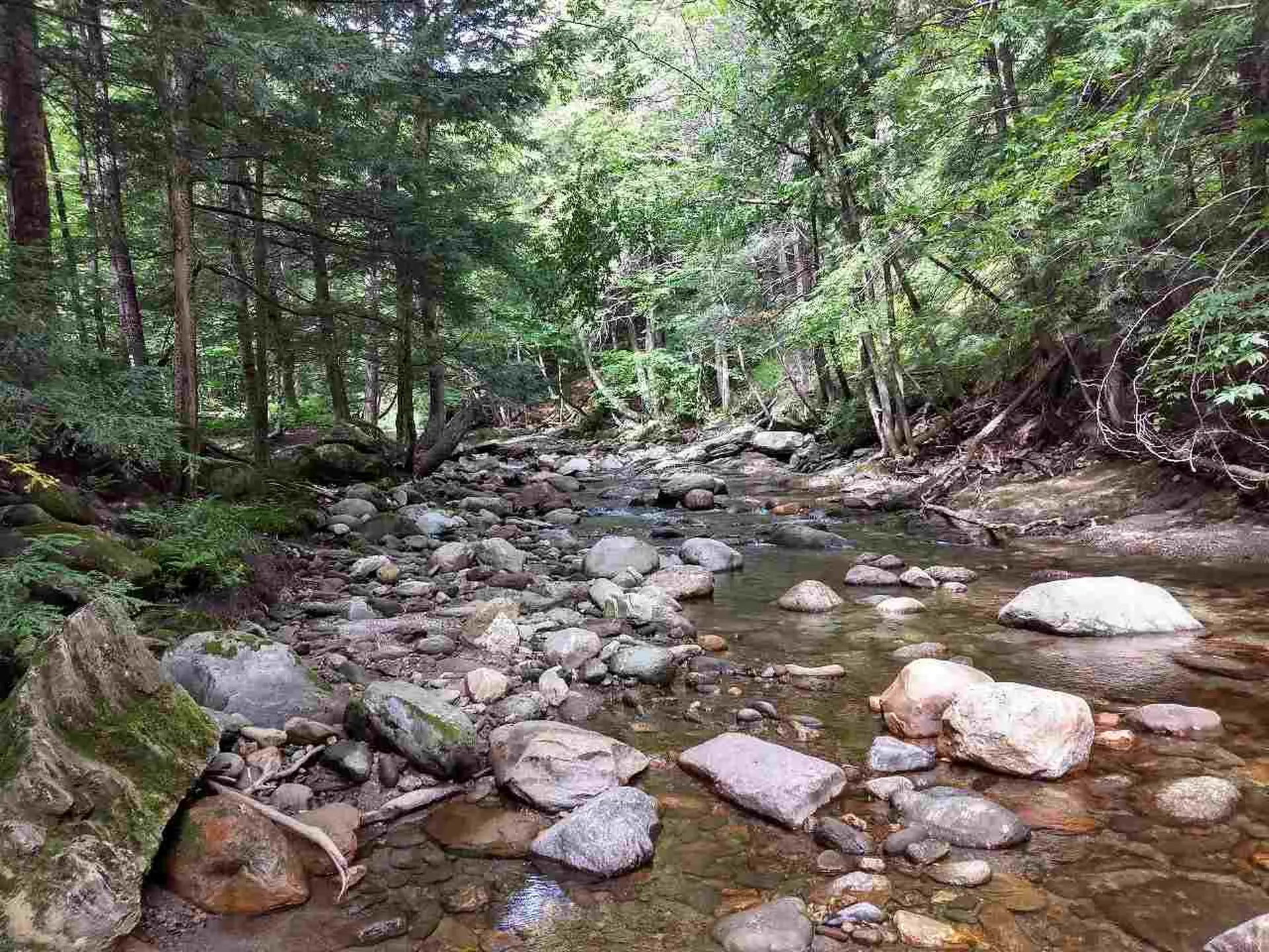 650 Lower Michigan Road Pittsfield VT 05762