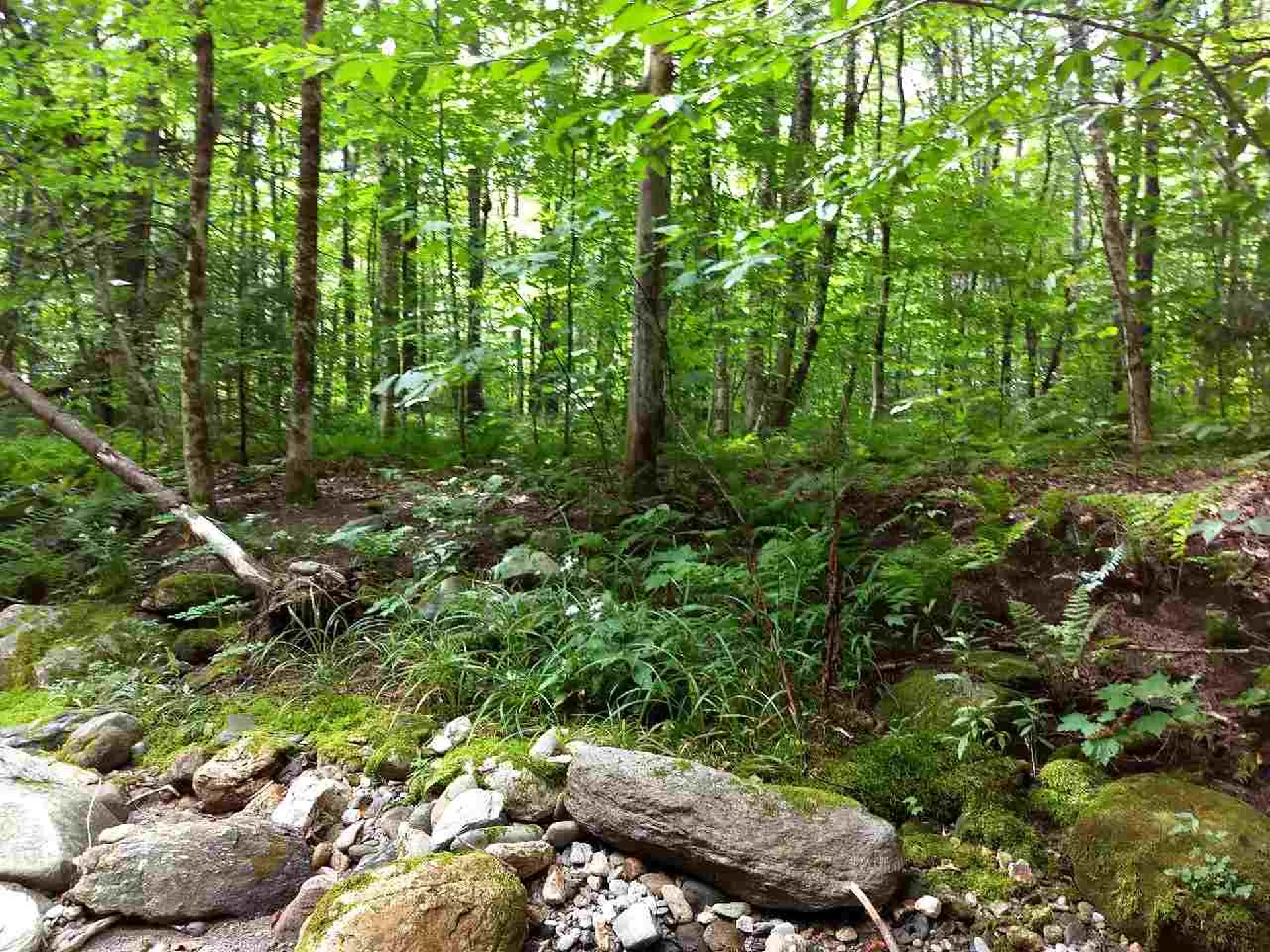 650 Lower Michigan Road Pittsfield VT 05762