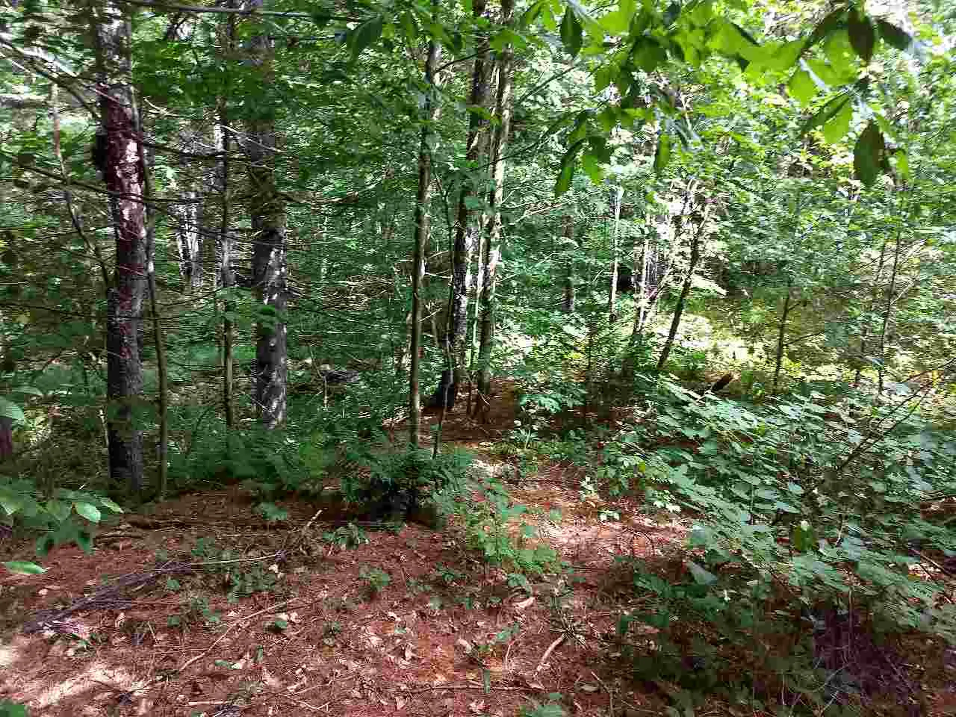 650 Lower Michigan Road Pittsfield VT 05762