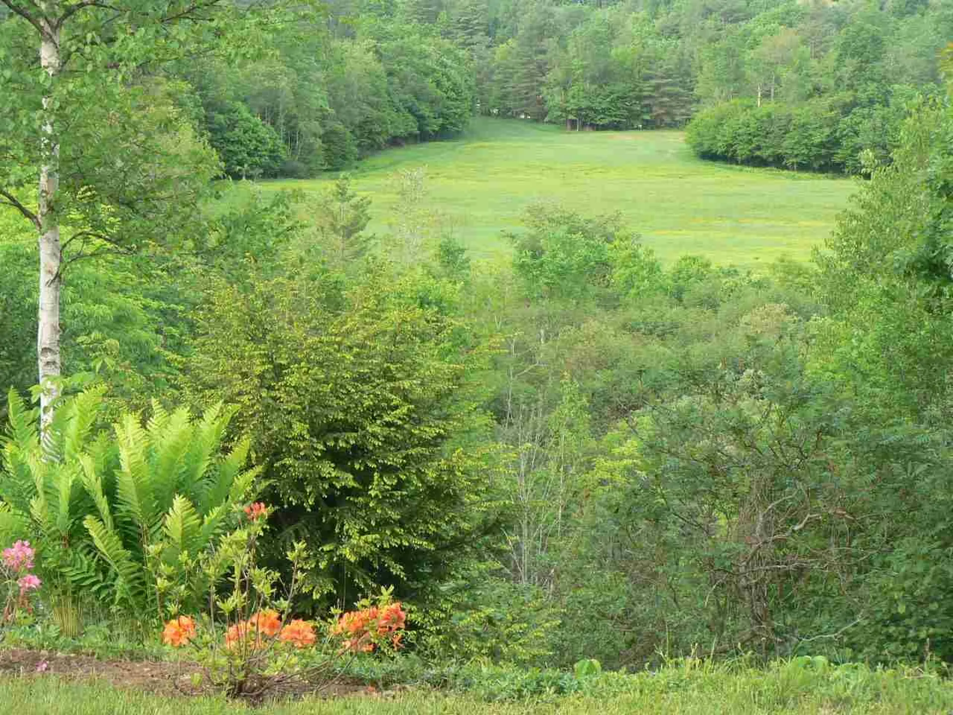 2425 Buffalo Road Rumney NH 03266