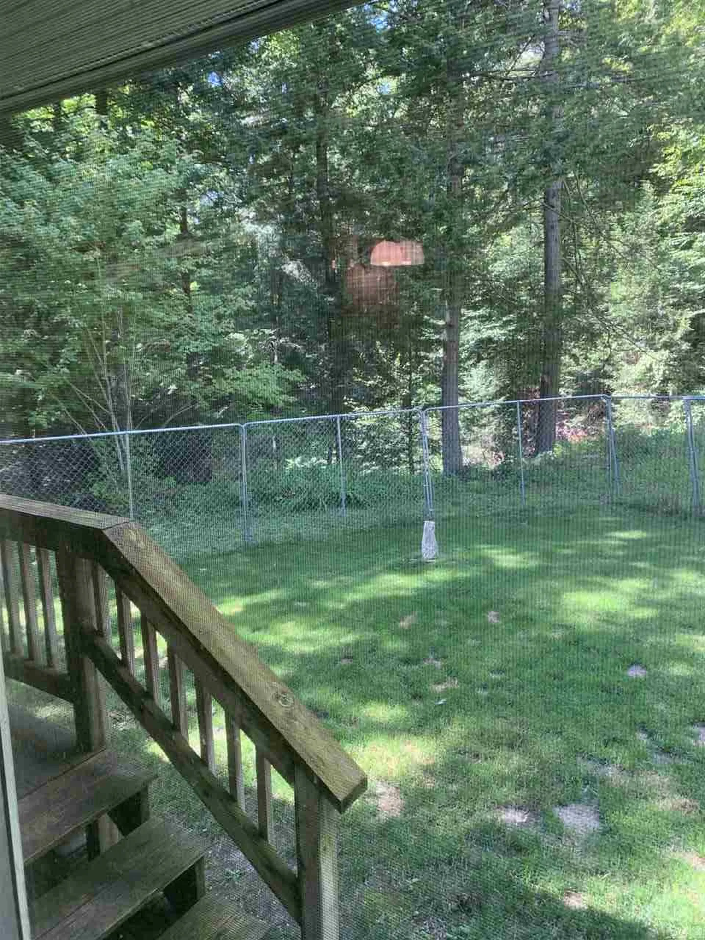 2425 Buffalo Road Rumney NH 03266