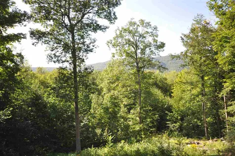 41 Butternut Ridge Hebron NH 03241
