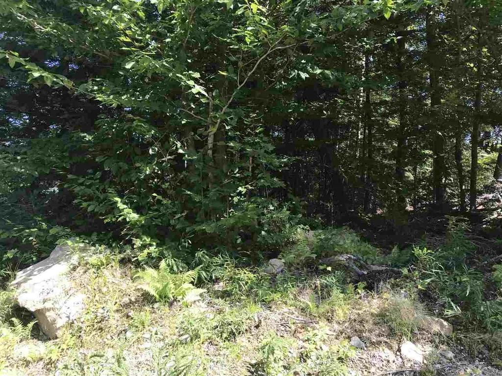 255 North Shore Road Hebron NH 03241