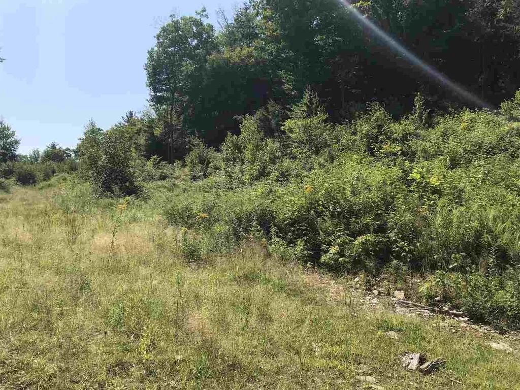 255 North Shore Road Hebron NH 03241