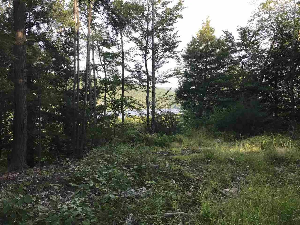 255 North Shore Road Hebron NH 03241