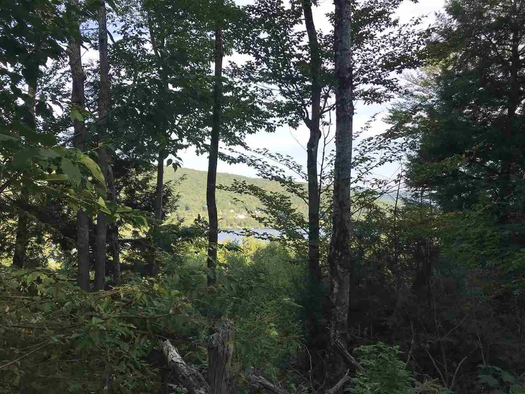 255 North Shore Road Hebron NH 03241