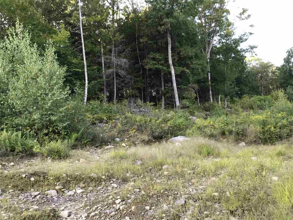 255 North Shore Road Hebron NH 03241