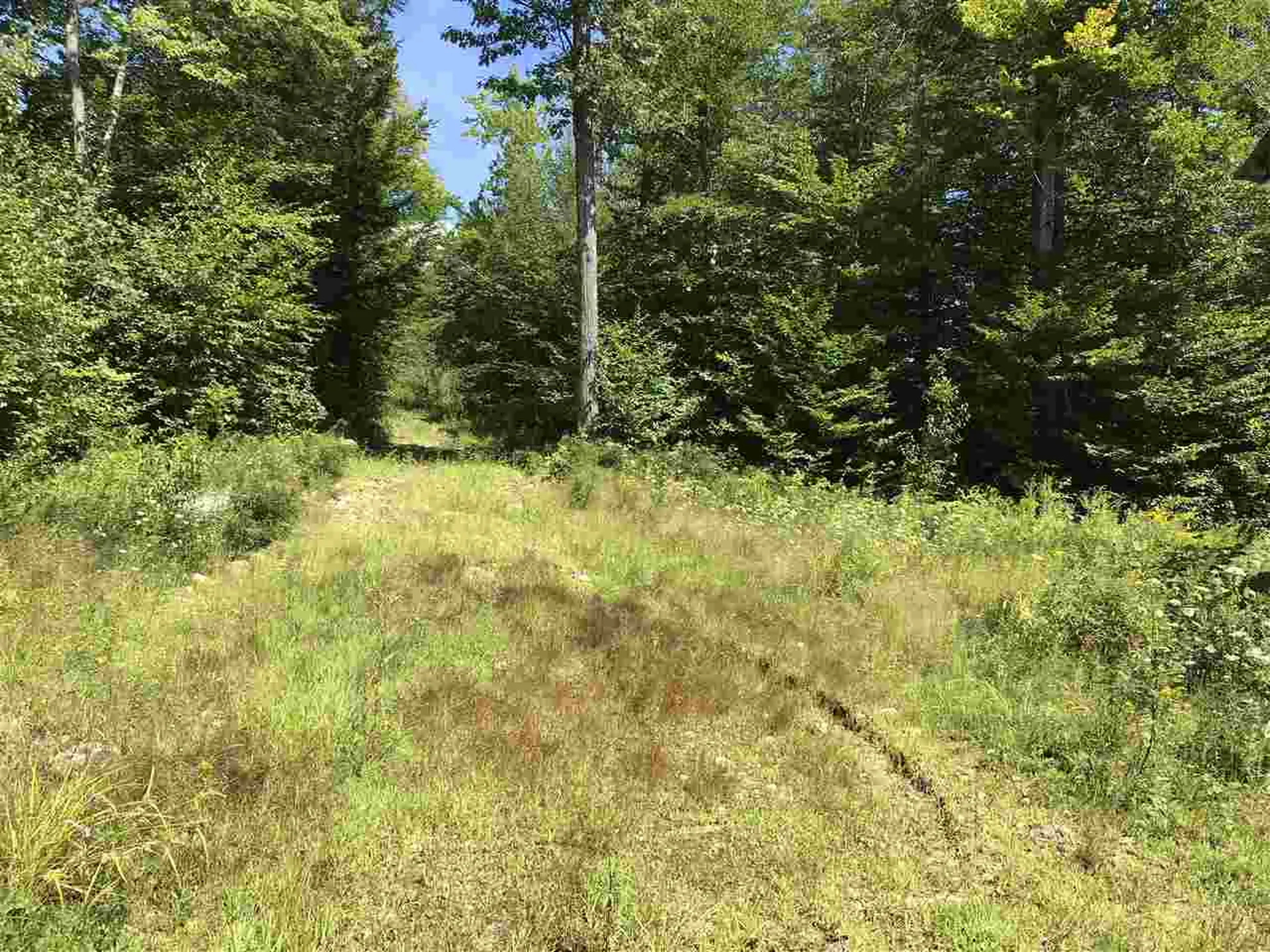 255 North Shore Road Hebron NH 03241