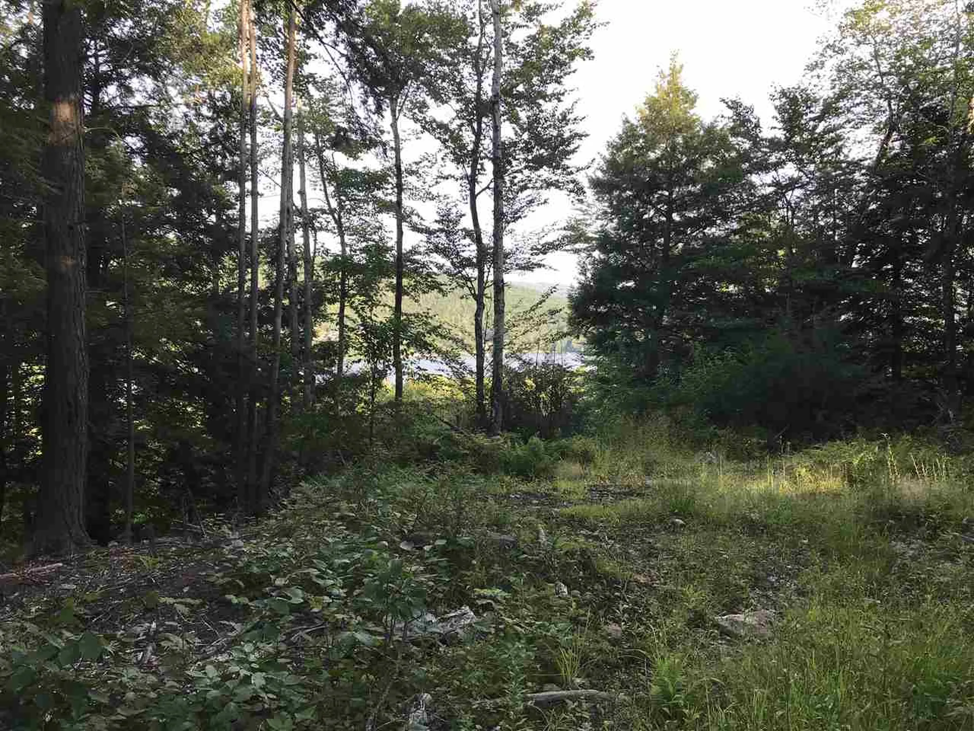 255 North Shore Road Hebron NH 03241