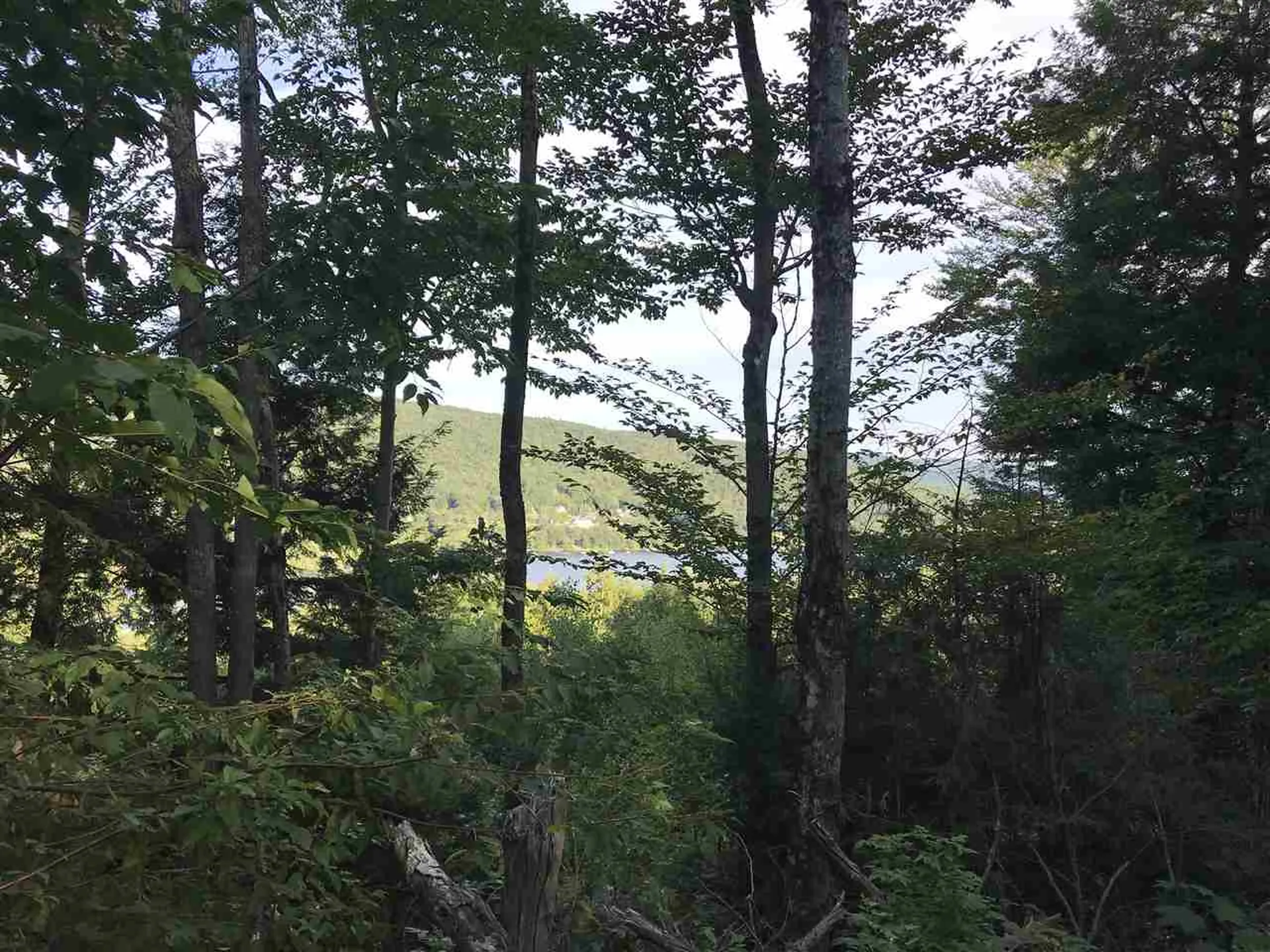 255 North Shore Road Hebron NH 03241