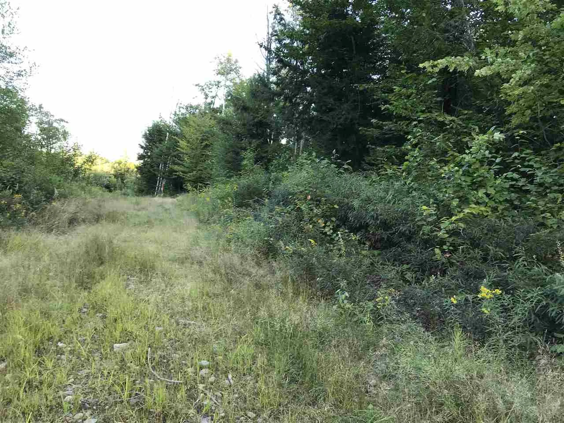 255 North Shore Road Hebron NH 03241