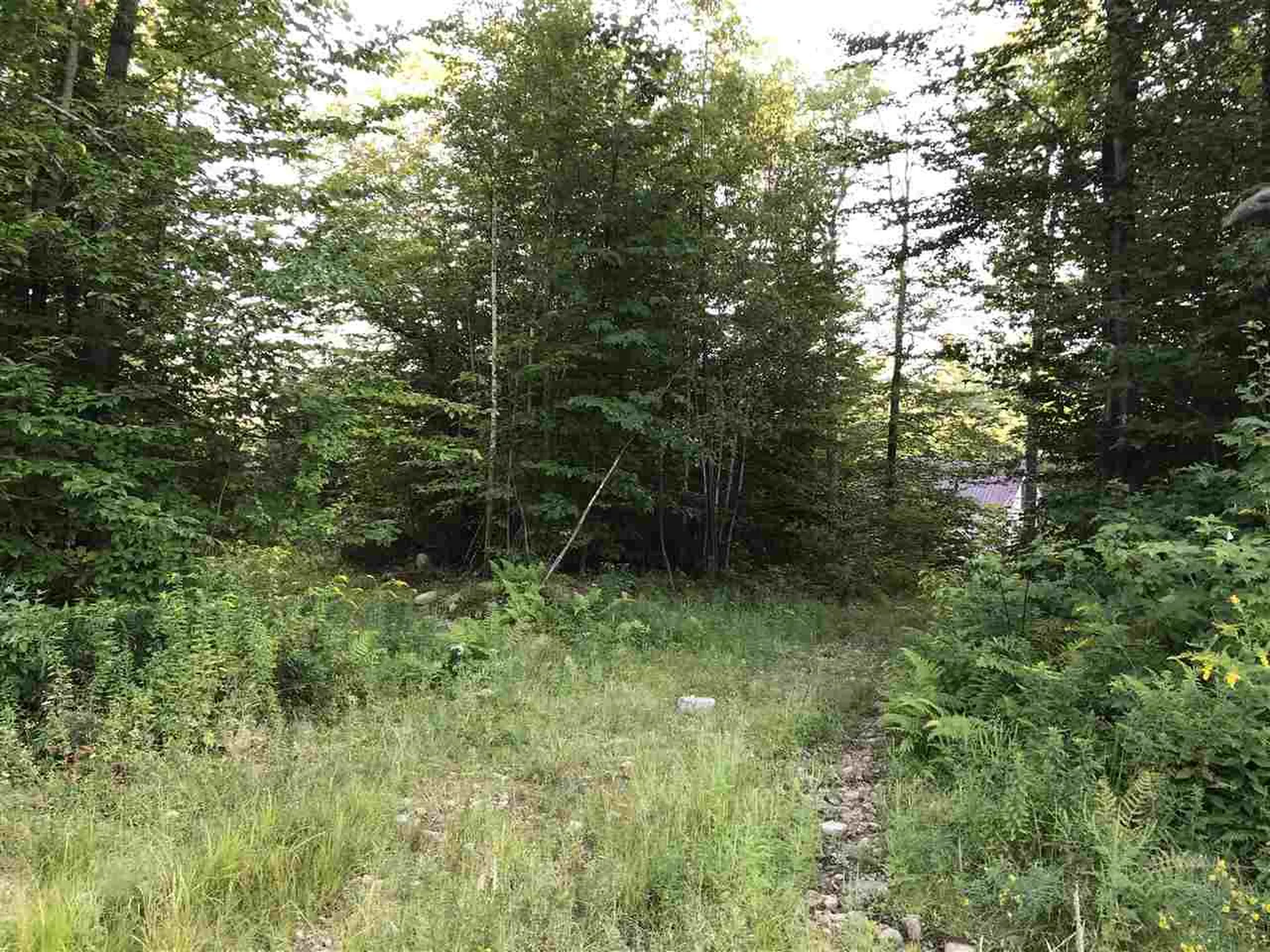 255 North Shore Road Hebron NH 03241