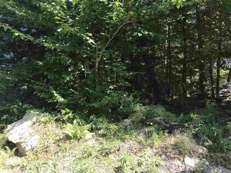 255 North Shore Road Hebron NH 03241