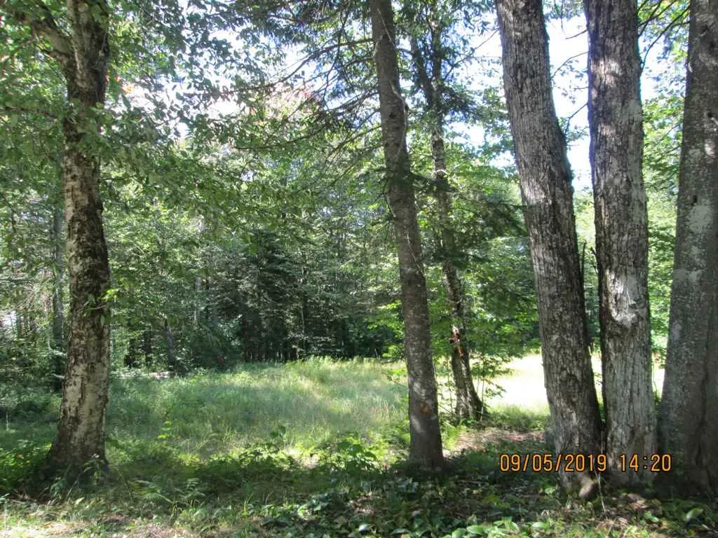 144 Loop Road Averill VT 05901